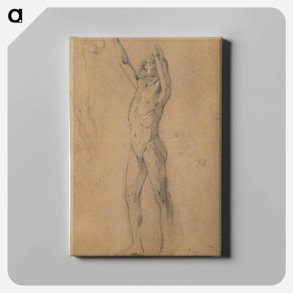 アートパネル-Male Nudes Study
- ウィーン博物館 Canvas.
