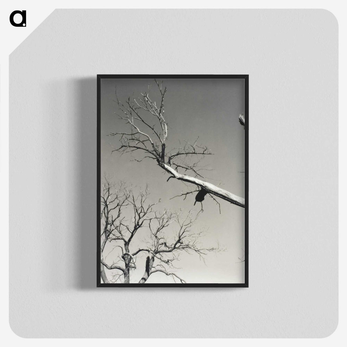 2-20_Alfred-Stieglitz_blk-crop