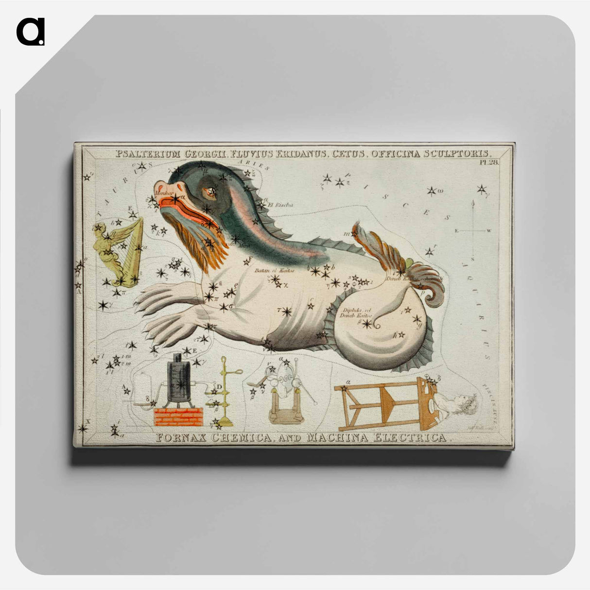 Psalterium Georgii - アンティーク地図 Canvas.