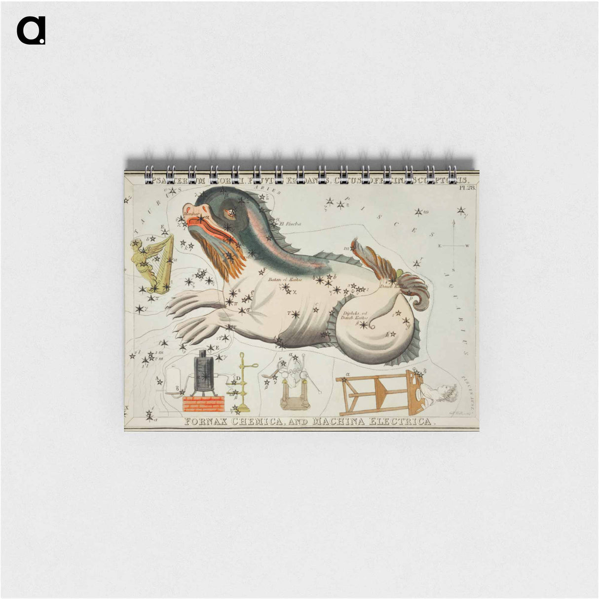 Psalterium Georgii - アンティーク地図 Memo.