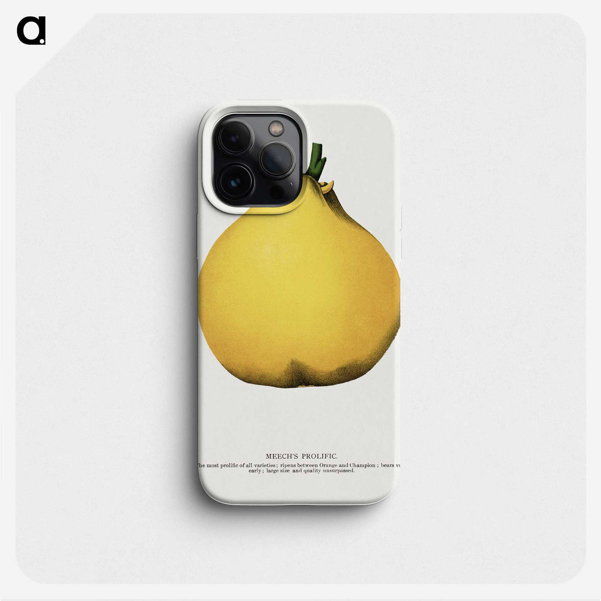 2-20_Botanical-Specimen-Plates_phone