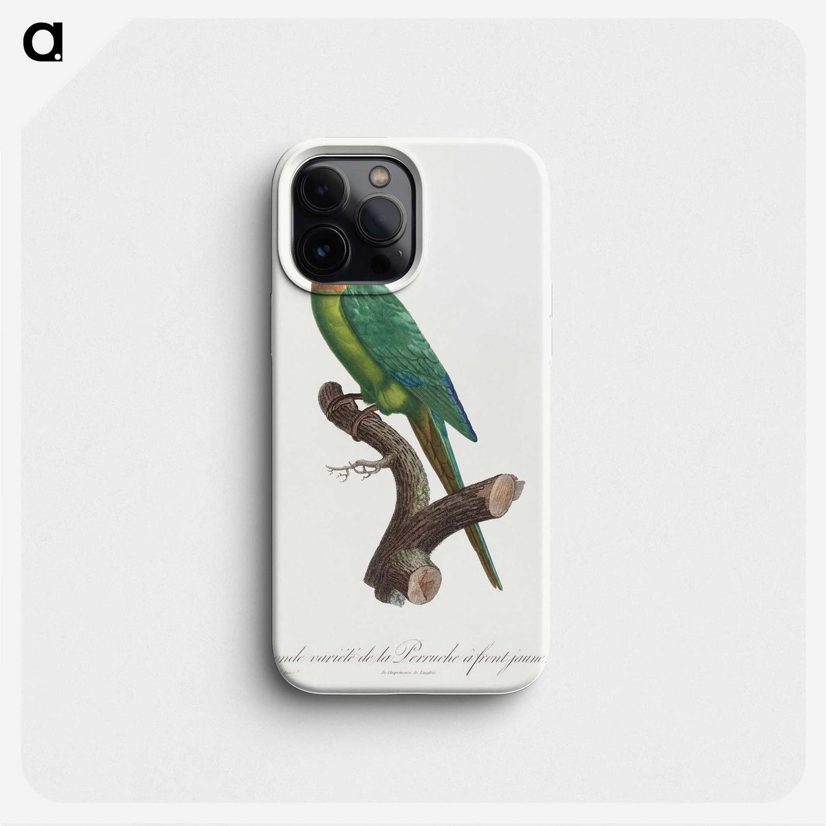 2-20_Francois-Levaillant_phone