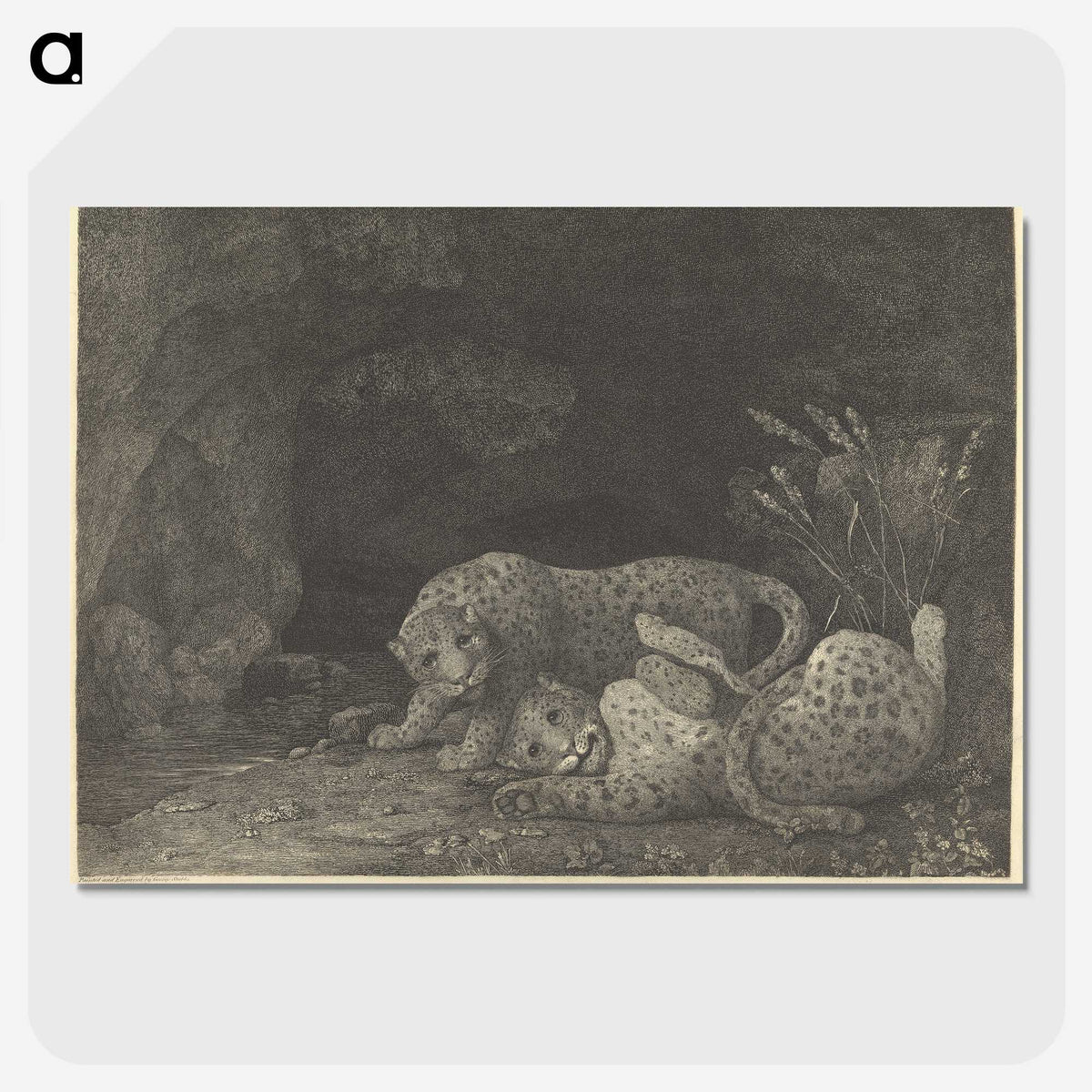 2-20_George-Stubbs_picture-crop