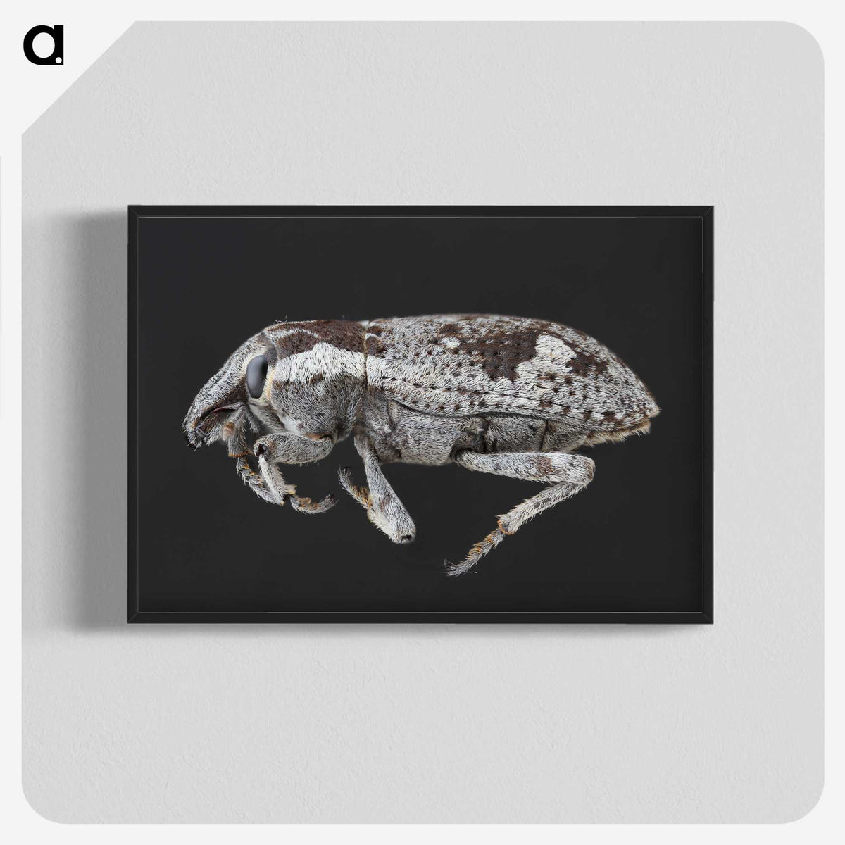 2-20_Insects-Unlocked-Project_blk-crop