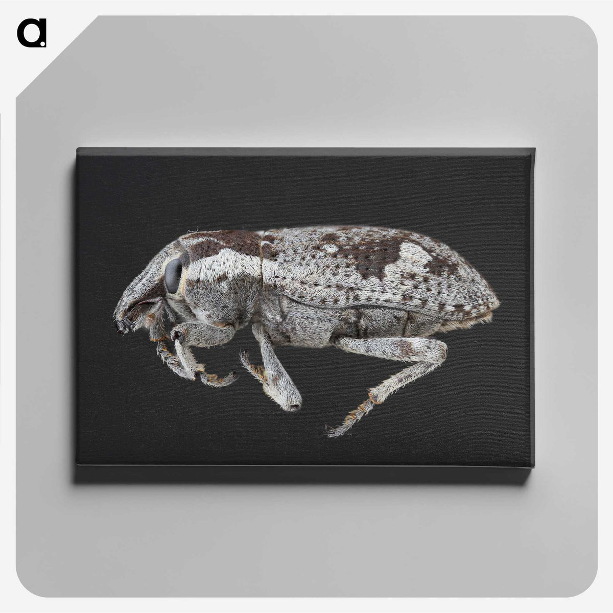2-20_Insects-Unlocked-Project_canvas
