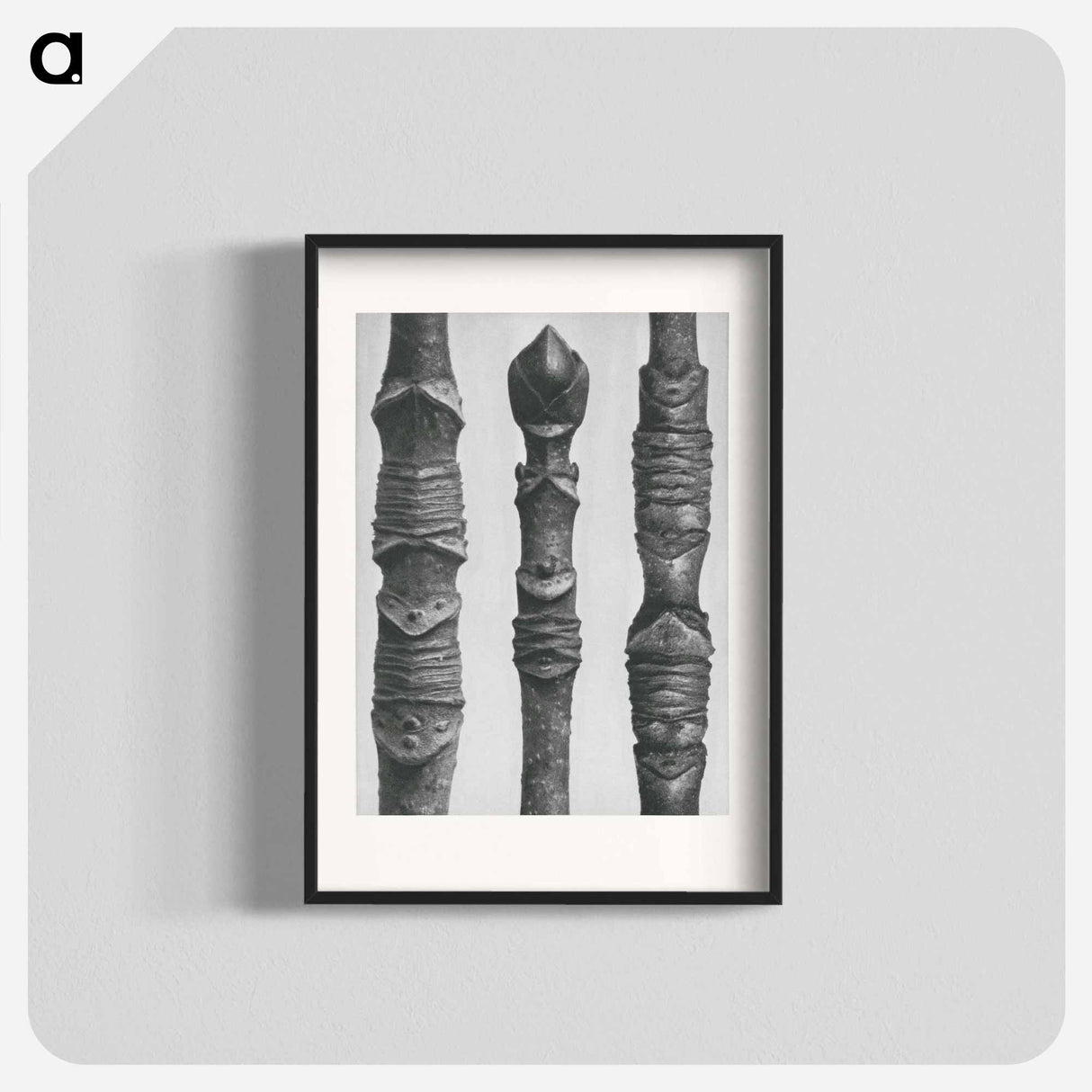 Acer Stems - カール ブロスフェルト Poster.