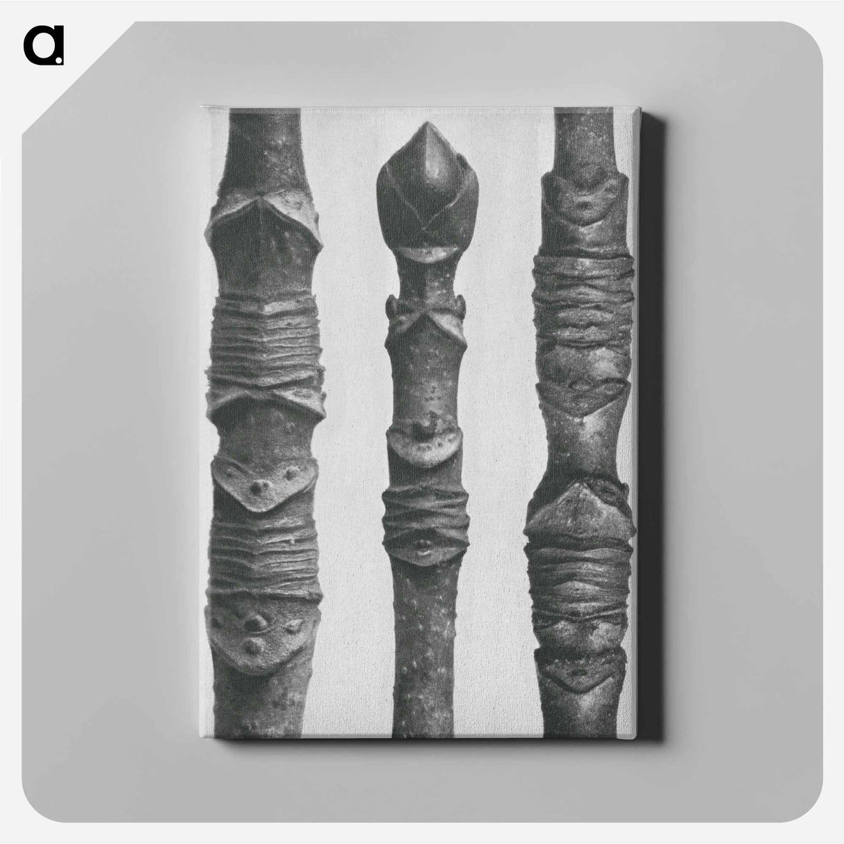 Acer Stems - カール ブロスフェルト Canvas.