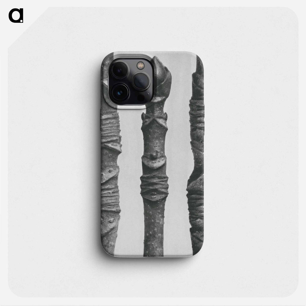 Acer Stems - カール ブロスフェルト Phone Case.