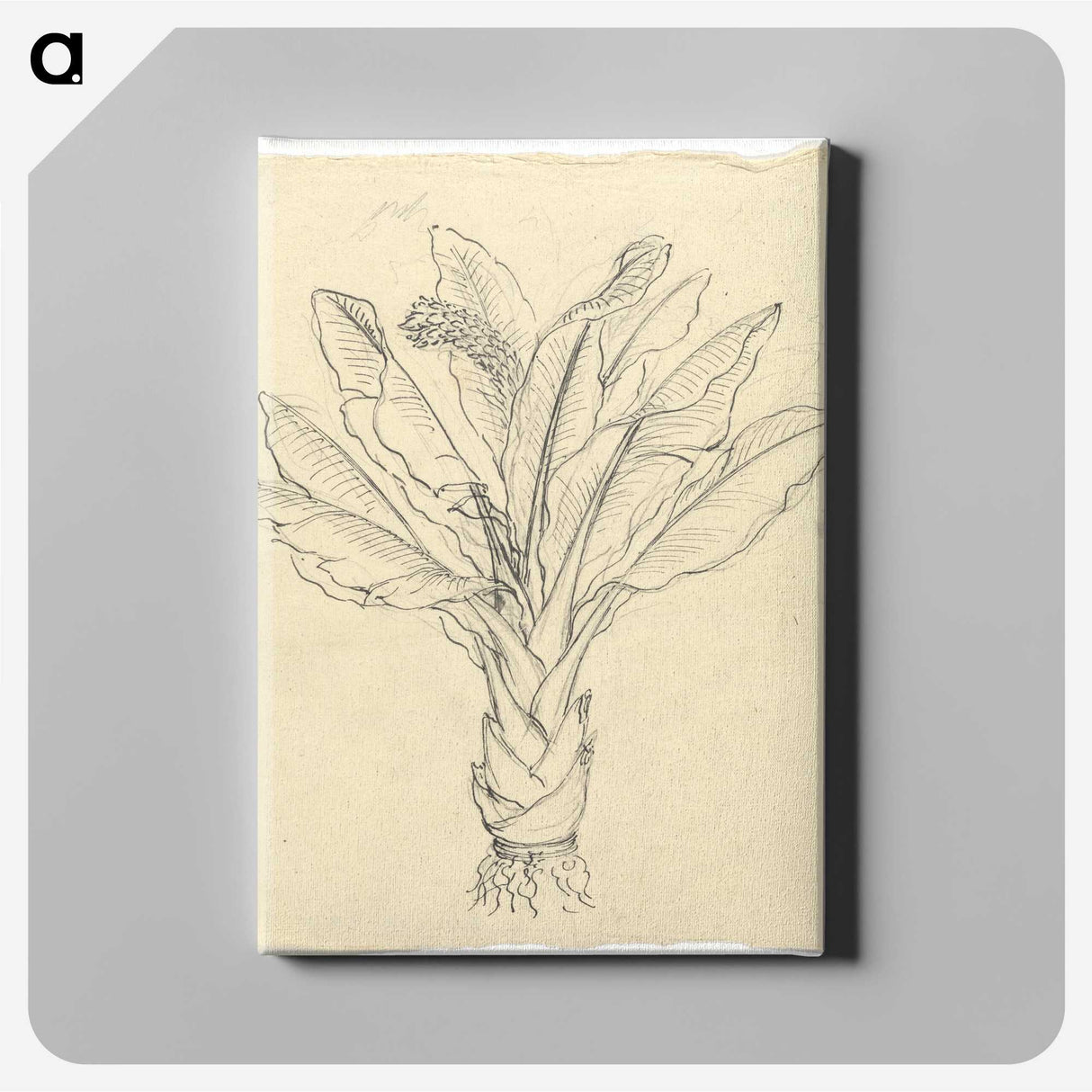 2-20_Luigi-Balugani_canvas