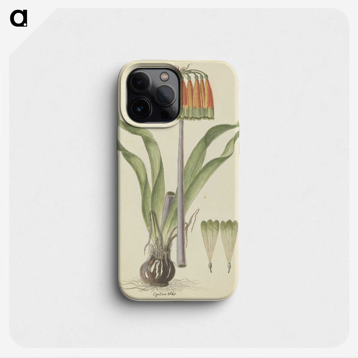 2-20_Robert-Jacob-Gordon_phone