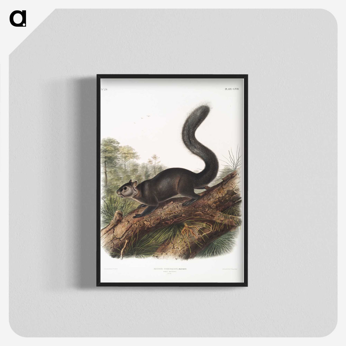 2-20_The-Viviparous-Quadrupeds_blk-crop