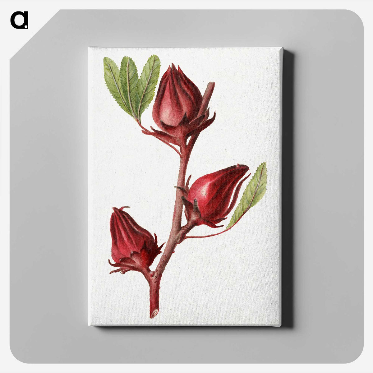 2-20_USDA-Watercolor-Fruit-Painting-Collection_canvas