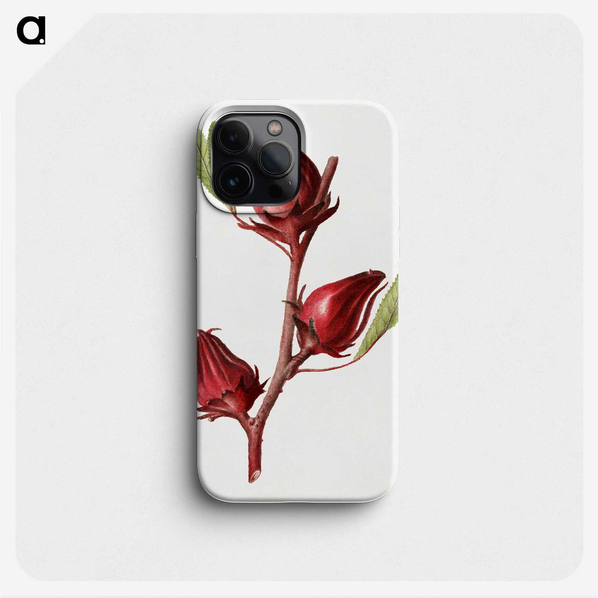 2-20_USDA-Watercolor-Fruit-Painting-Collection_phone