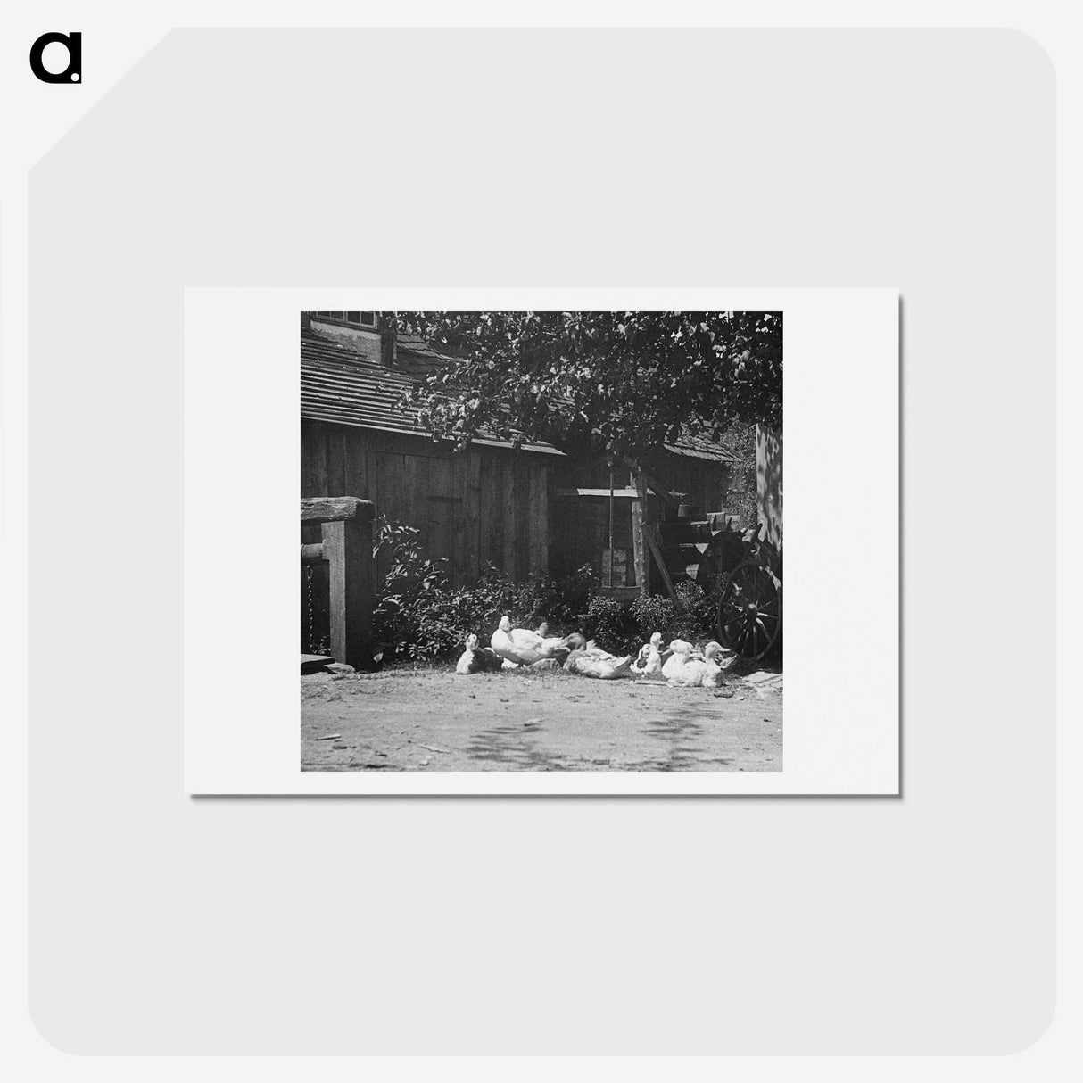 2-21_Alfred-Stieglitz_hagaki