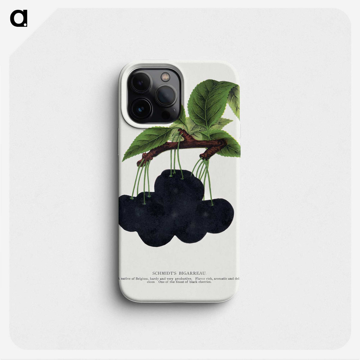 2-21_Botanical-Specimen-Plates_phone