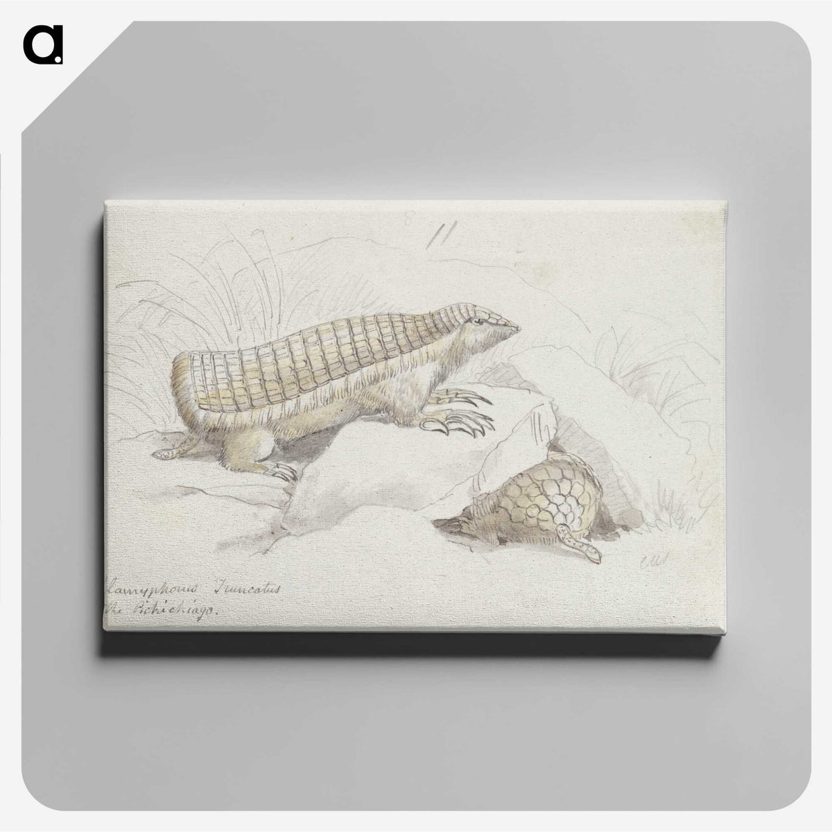 2-21_Charles-Hamilton-Smith_canvas