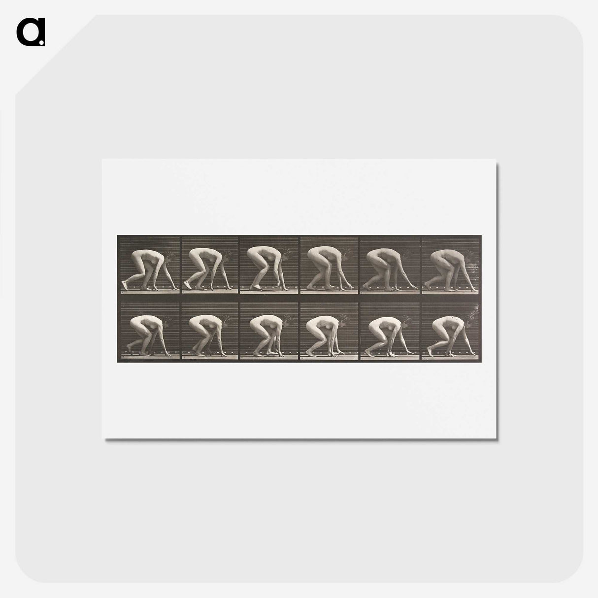 2-21_Eadweard-Muybridge_hagaki