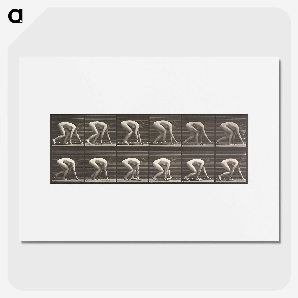 2-21_Eadweard-Muybridge_picture