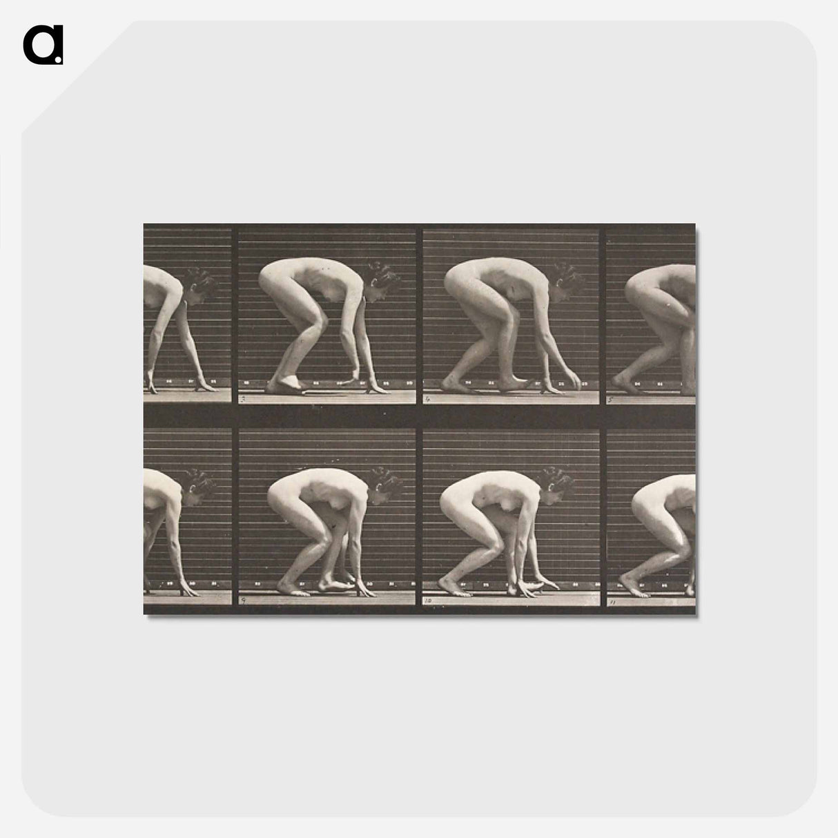 アートポストカード-Walking on Hands and Feet
- エドワード マイブリッジ Postcard.
