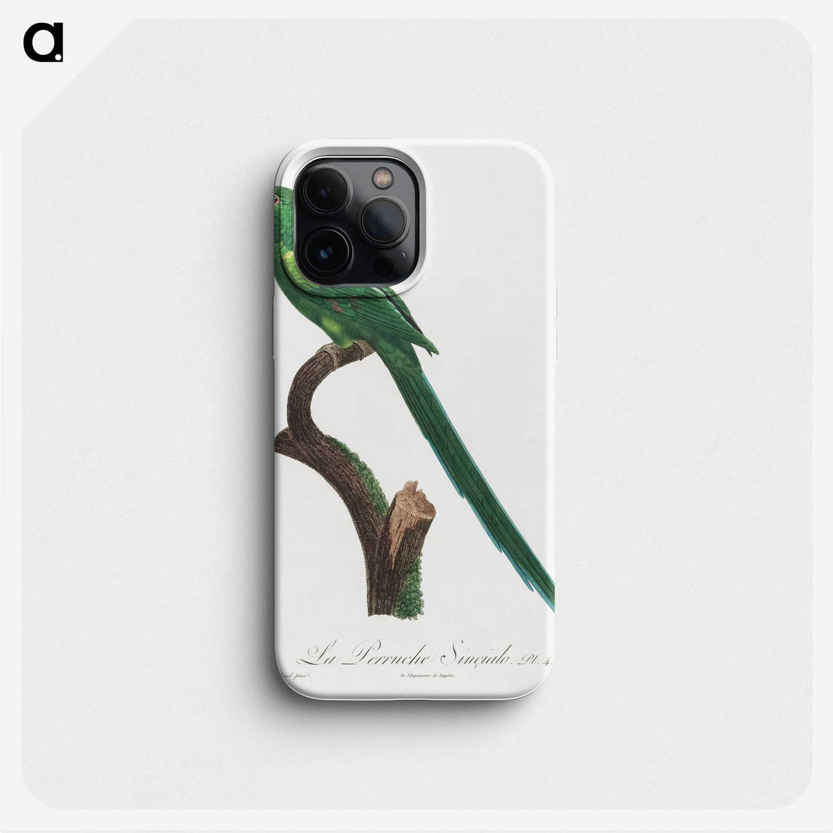 2-21_Francois-Levaillant_phone