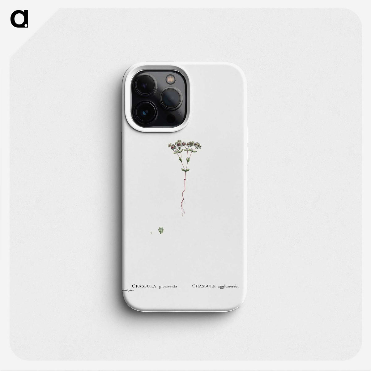 2-21_Histoire-des-Plantes-Grasses_phone