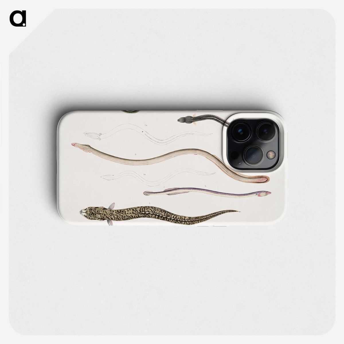 2-21_Indian-Zoology_phone
