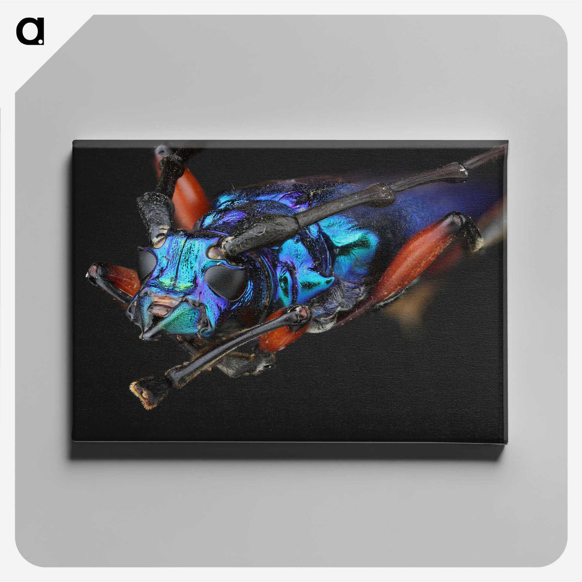 2-21_Insects-Unlocked-Project_canvas