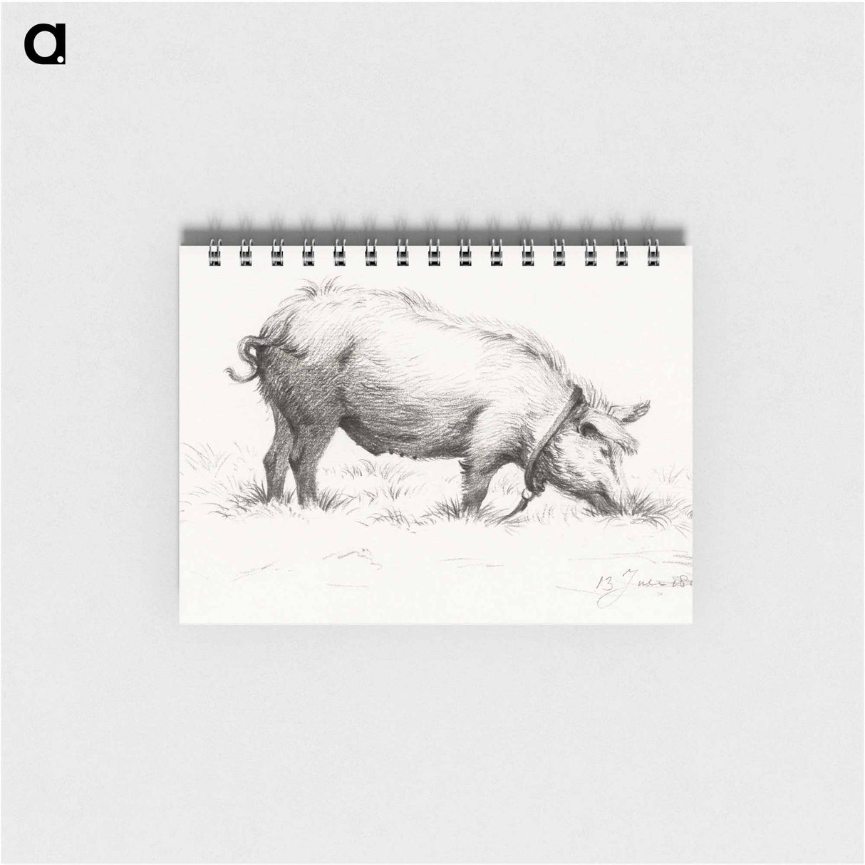 Standing pig in the grass - ジャン ベルナール Memo.