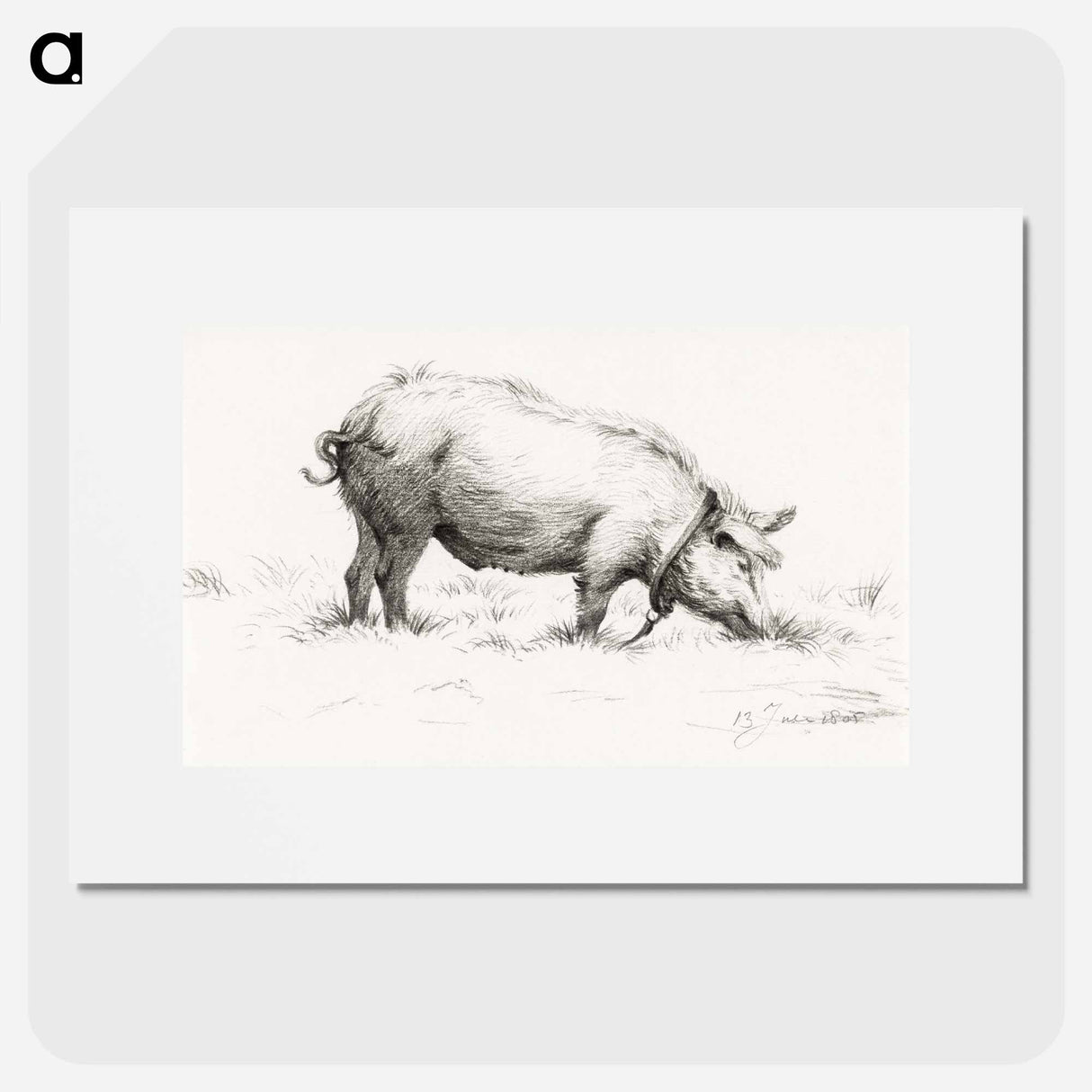 Standing pig in the grass - ジャン ベルナール Poster.