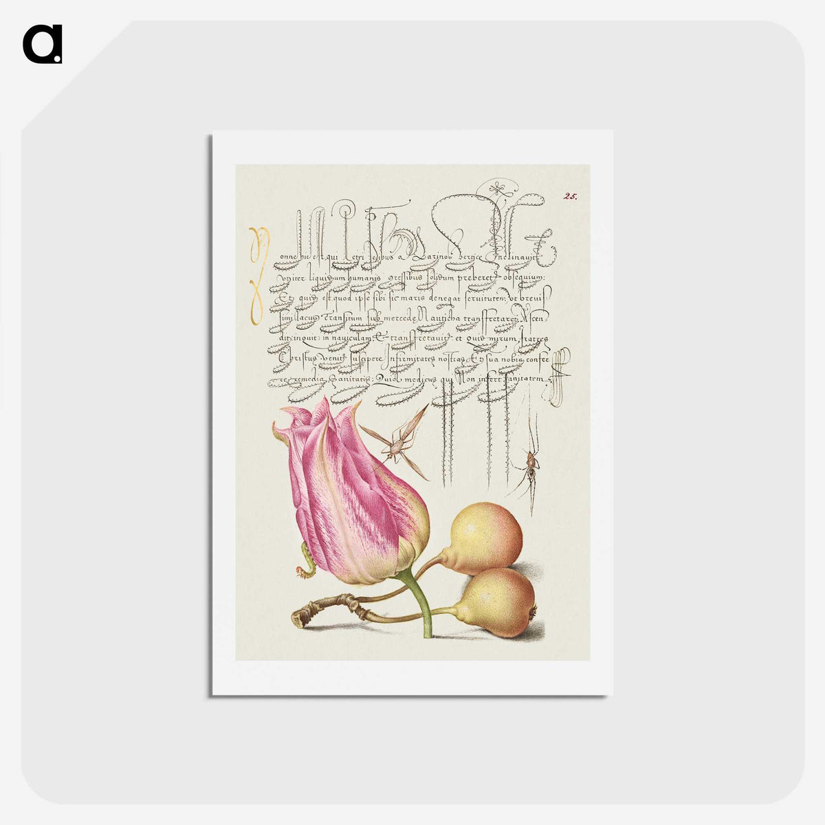 2-21_Joris-Hoefnagel_hagaki