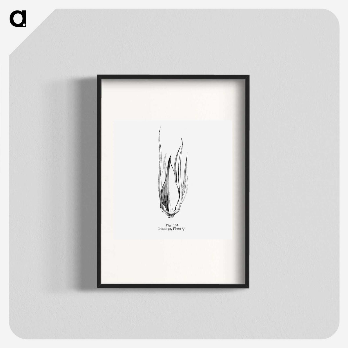 2-21_Les-Palmiers-Histoire-Iconographique_blk