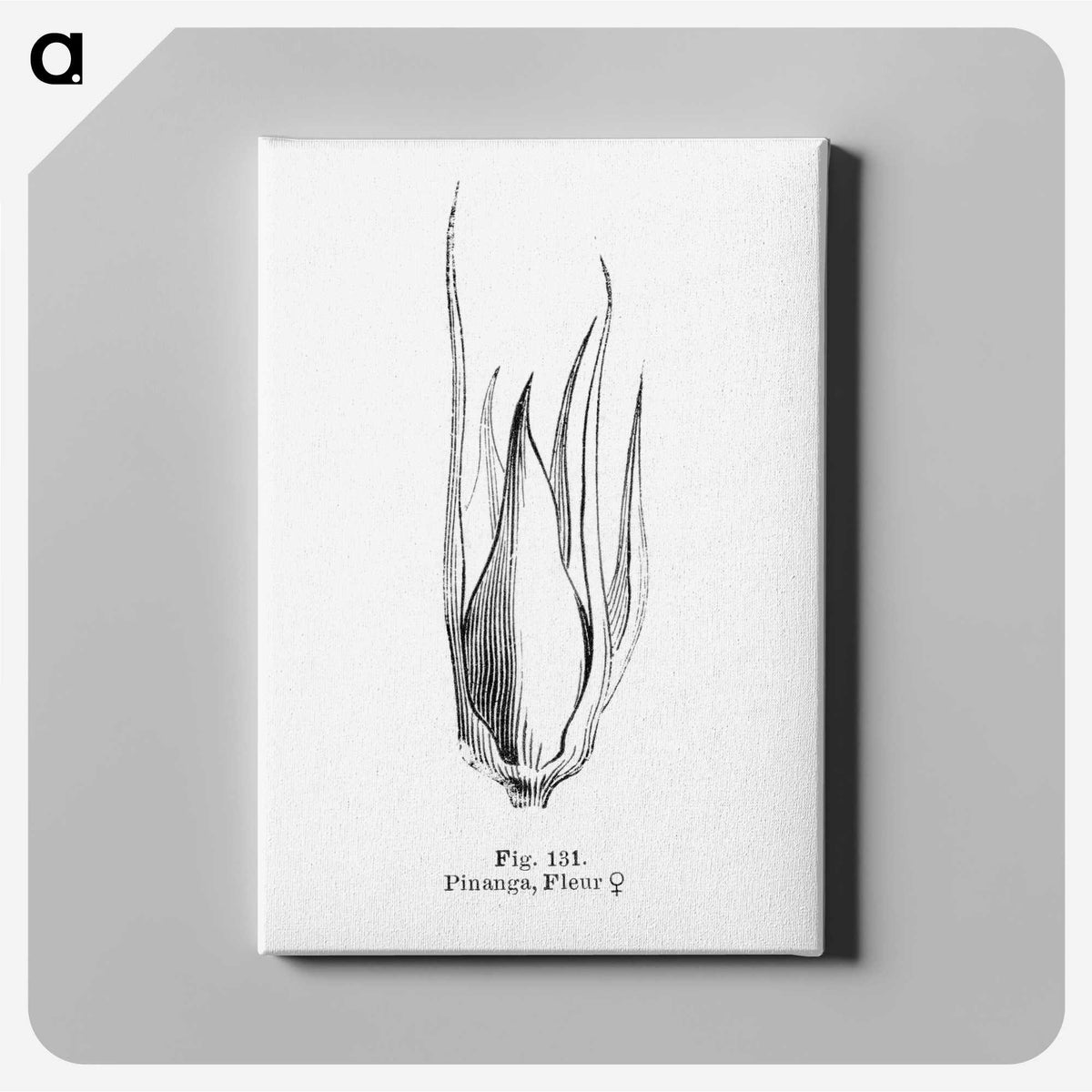 2-21_Les-Palmiers-Histoire-Iconographique_canvas