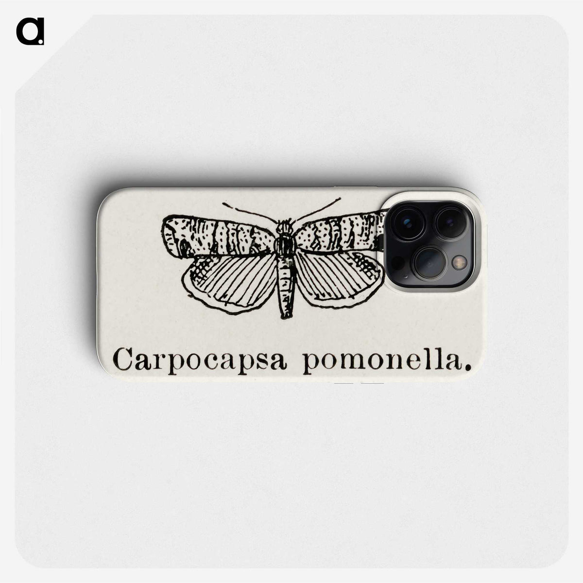 2-21_Moths-and-Butterflies-of-the-United-States_phone