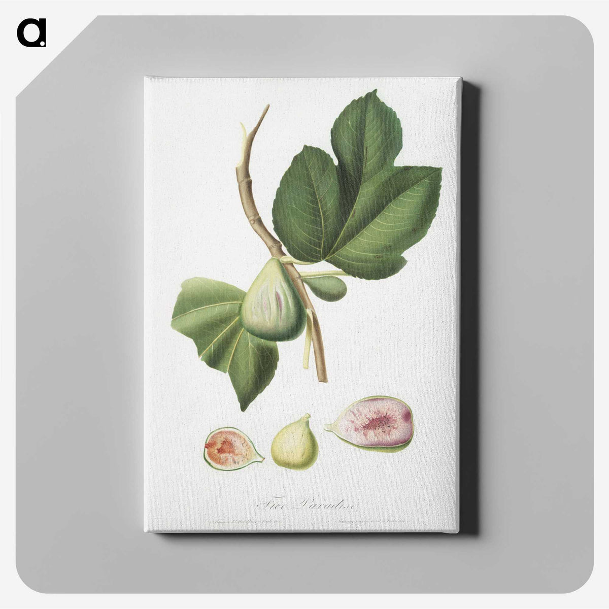 2-21_Pomona-Italiana_canvas