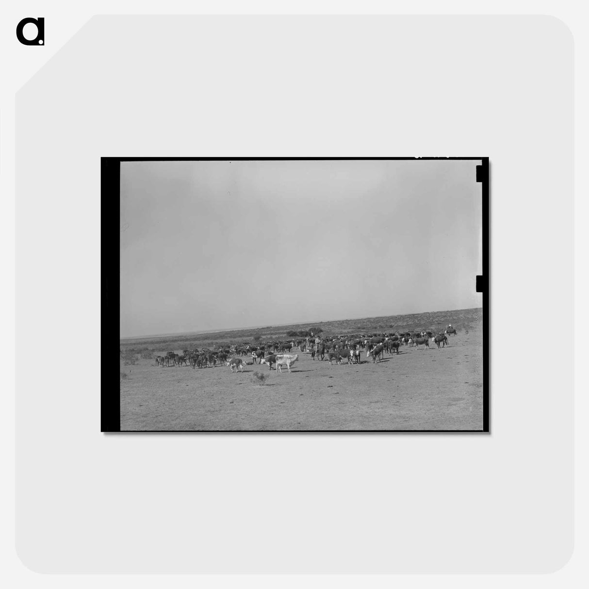 アートポストカード-Roundup on SMS Ranch
- ラッセル リー Postcard.