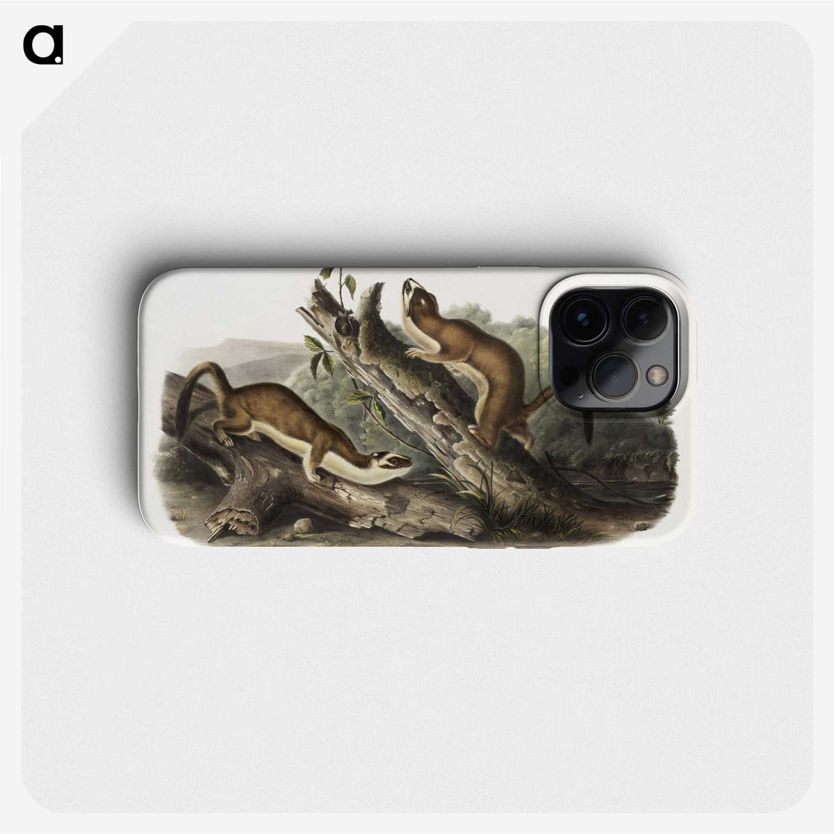 2-21_The-Viviparous-Quadrupeds_phone