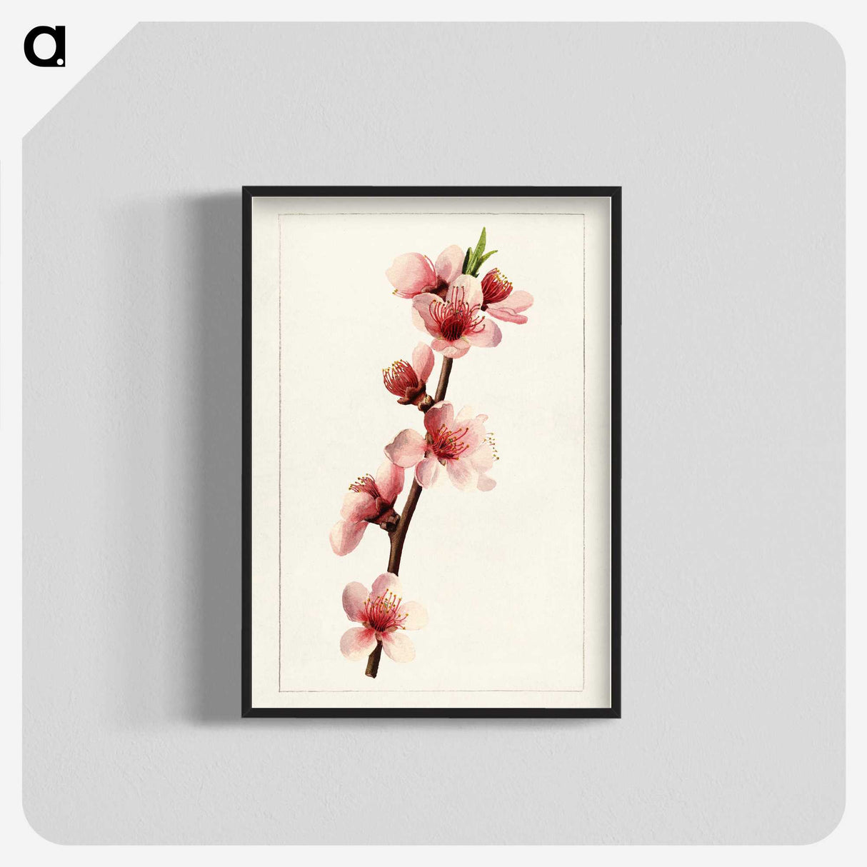 2-21_USDA-Watercolor-Fruit-Painting-Collection_blk-crop