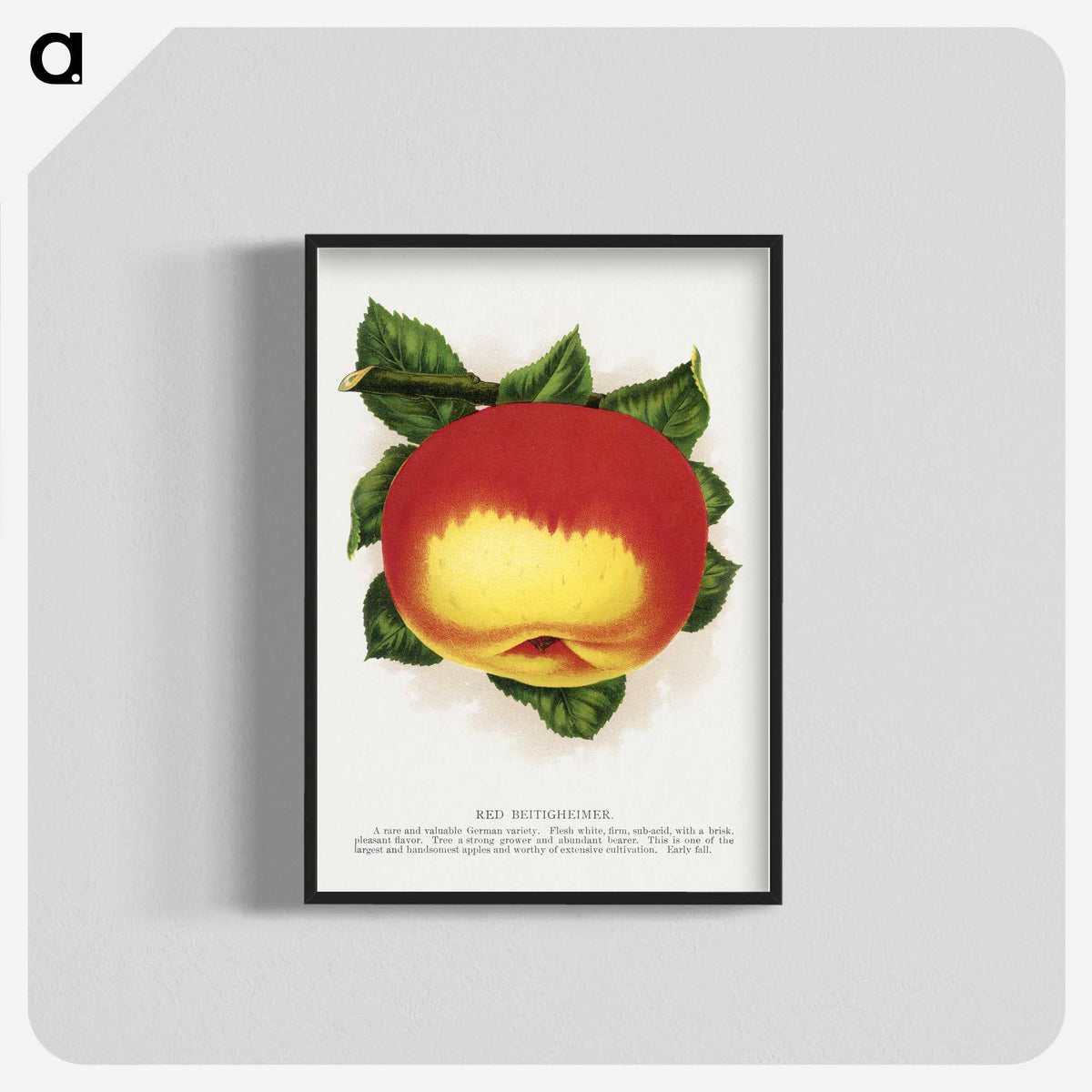 2-22_Botanical-Specimen-Plates_blk-crop