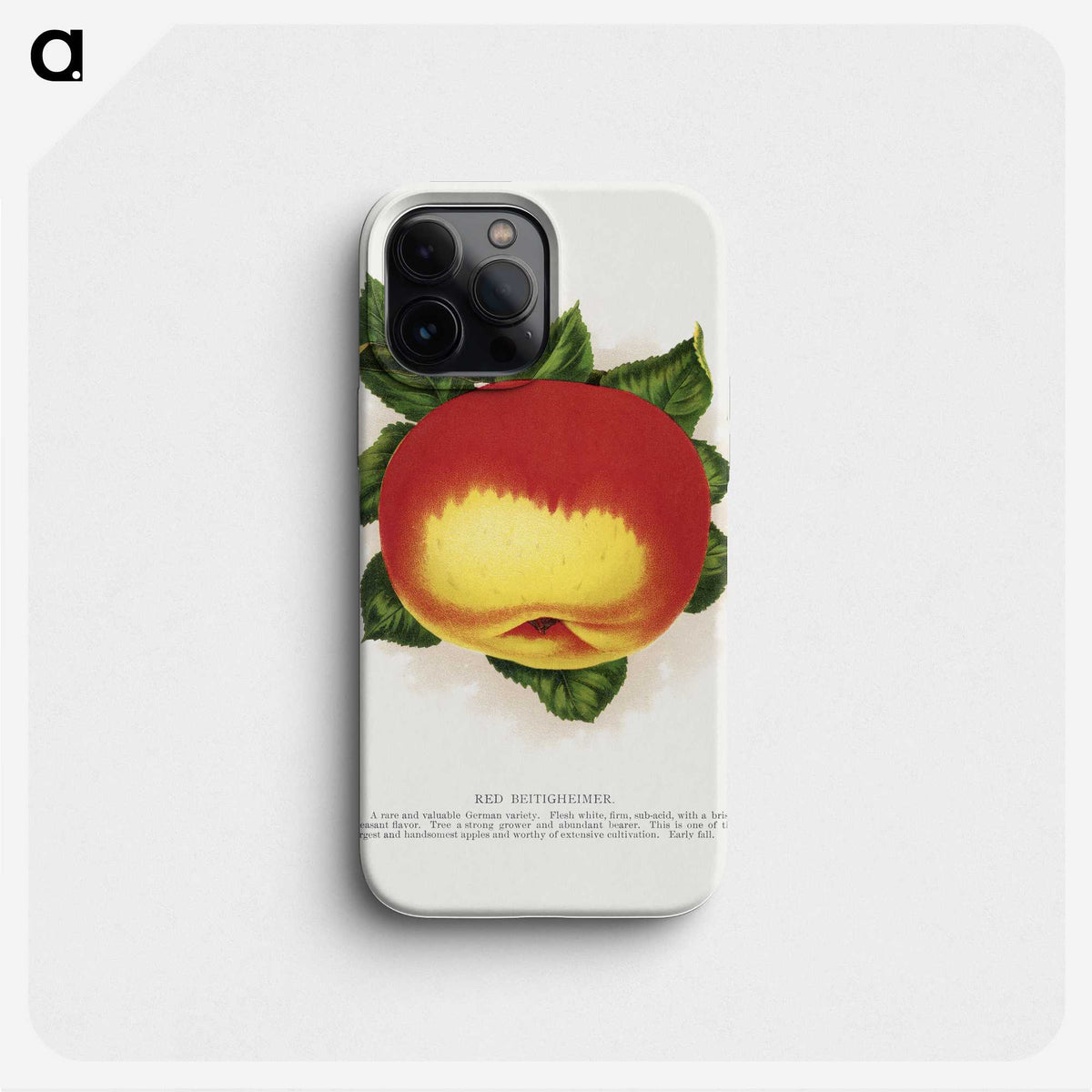 2-22_Botanical-Specimen-Plates_phone
