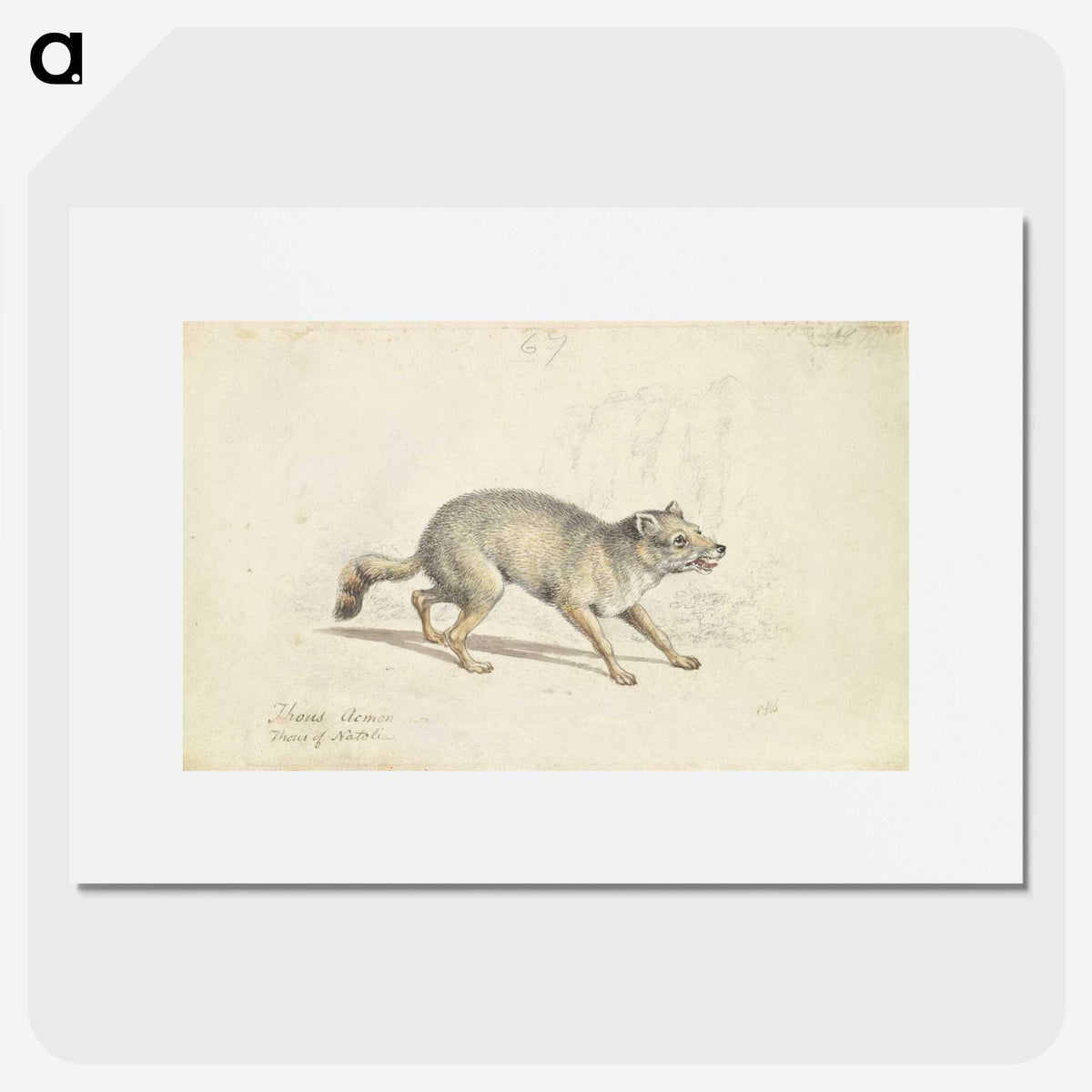 2-22_Charles-Hamilton-Smith_picture
