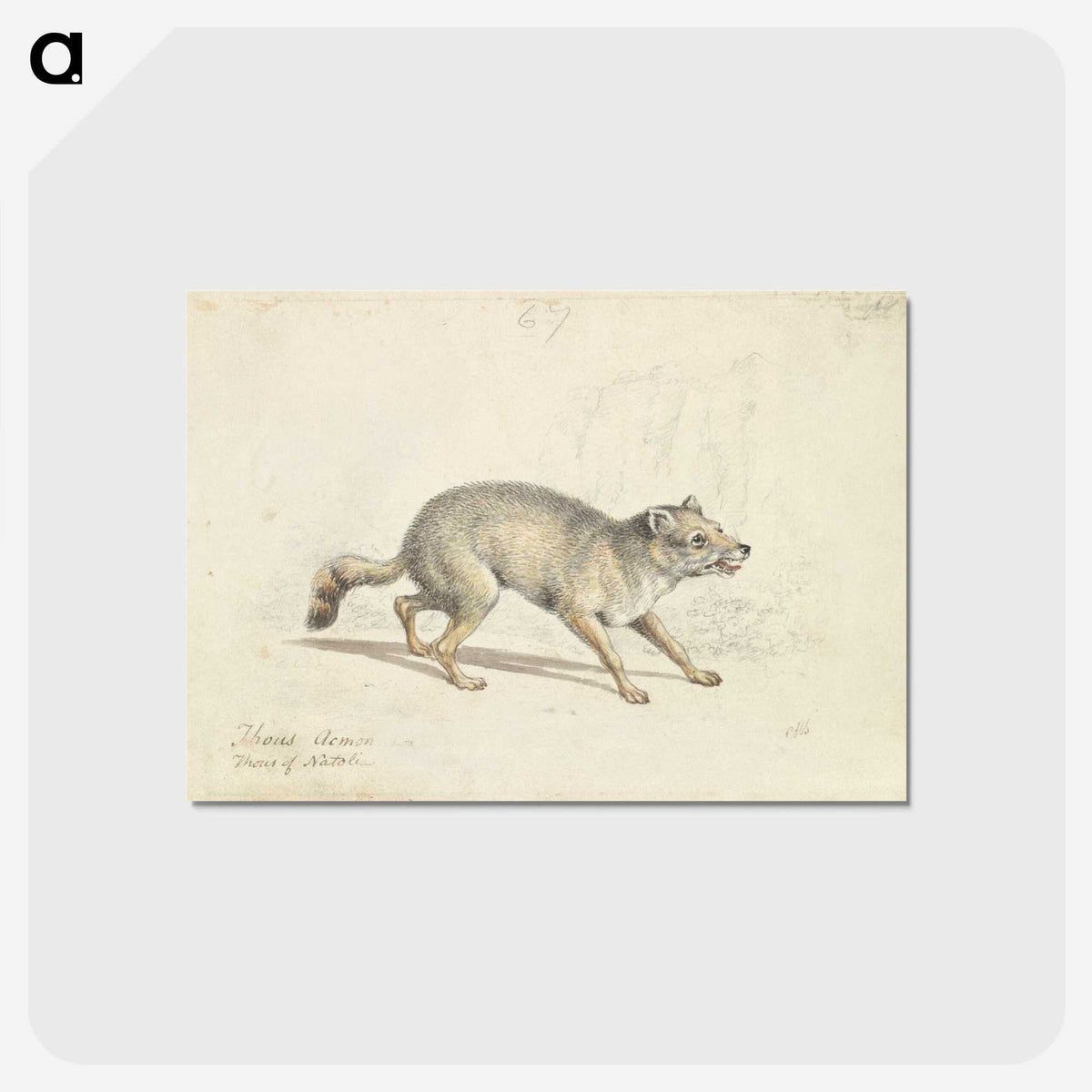 2-22_Charles-Hamilton-Smith_postcard