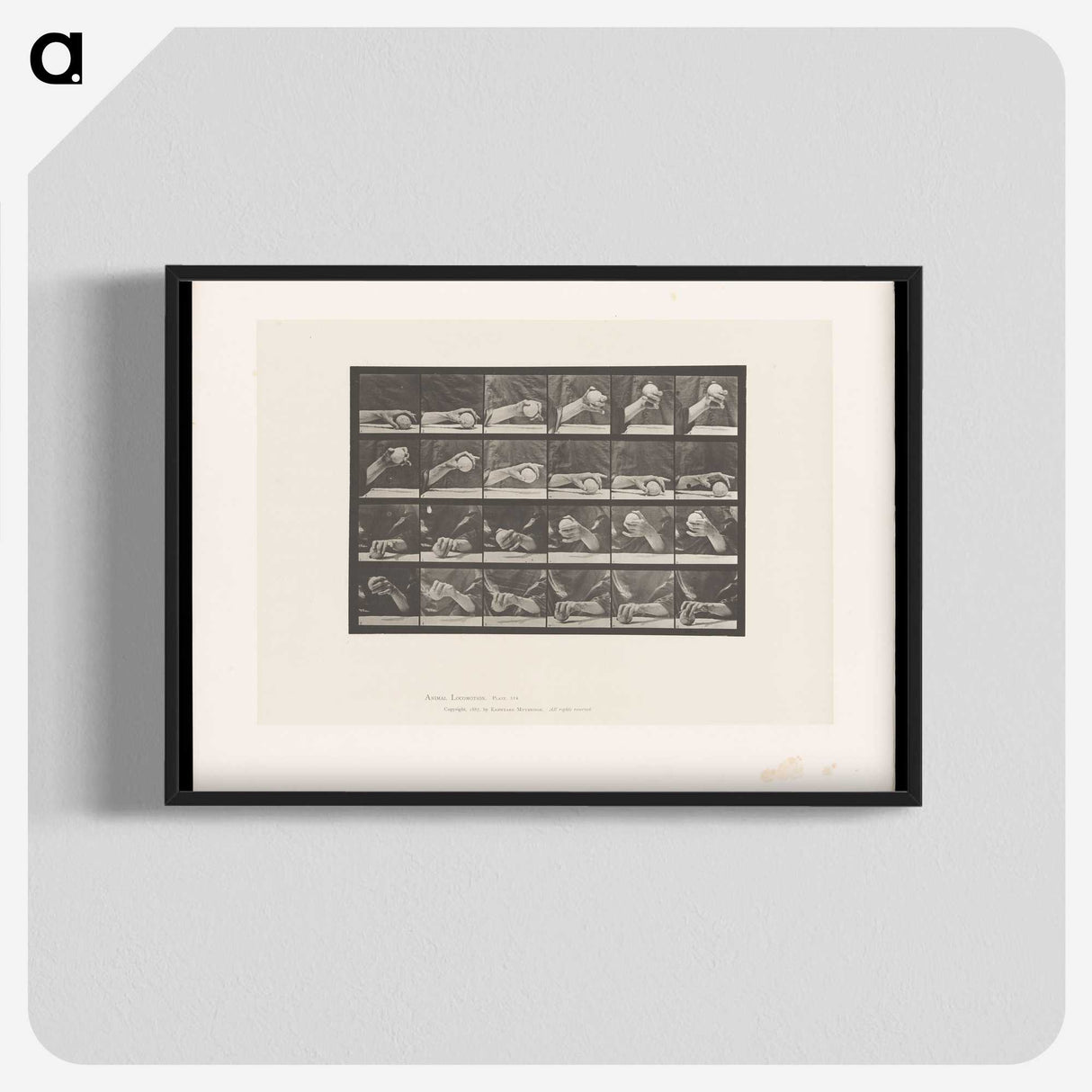 2-22_Eadweard-Muybridge_blk-crop