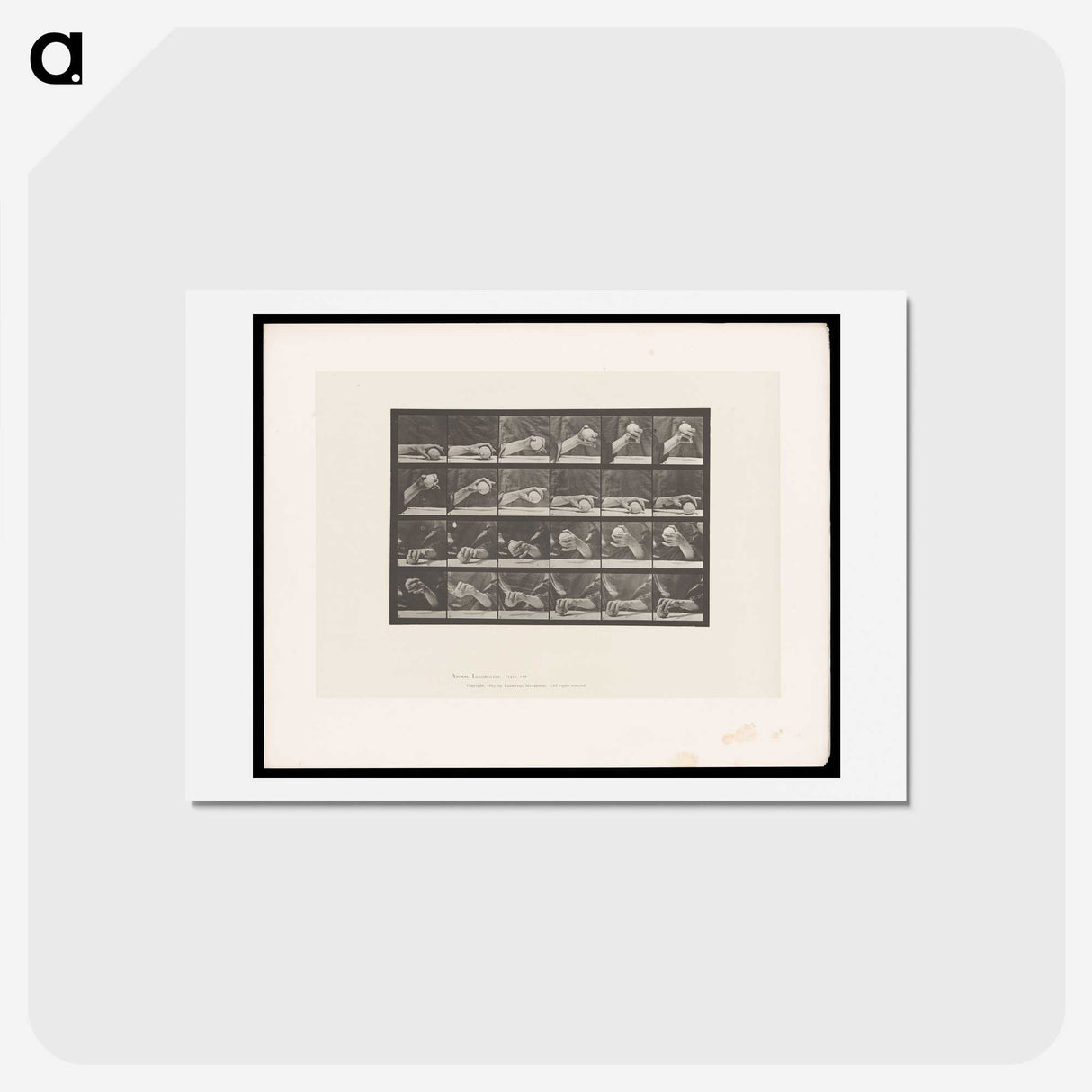 2-22_Eadweard-Muybridge_hagaki