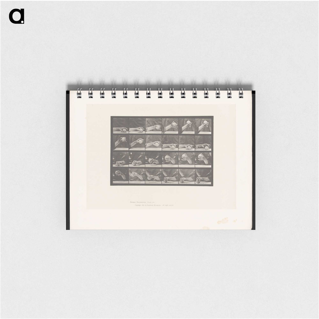 2-22_Eadweard-Muybridge_memo