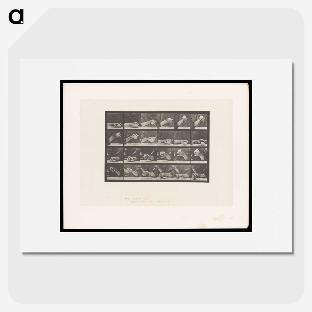2-22_Eadweard-Muybridge_picture