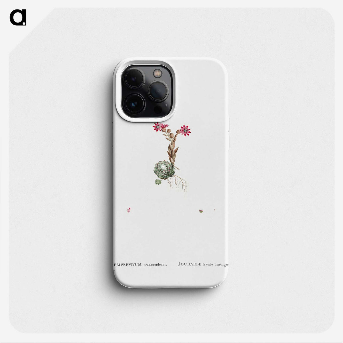 2-22_Histoire-des-Plantes-Grasses_phone