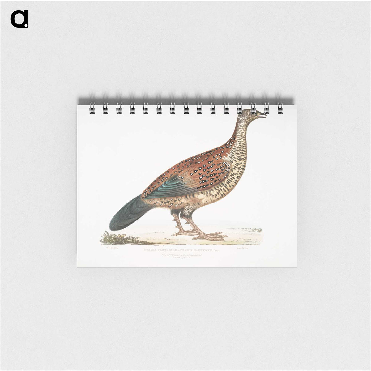 2-22_Indian-Zoology_memo