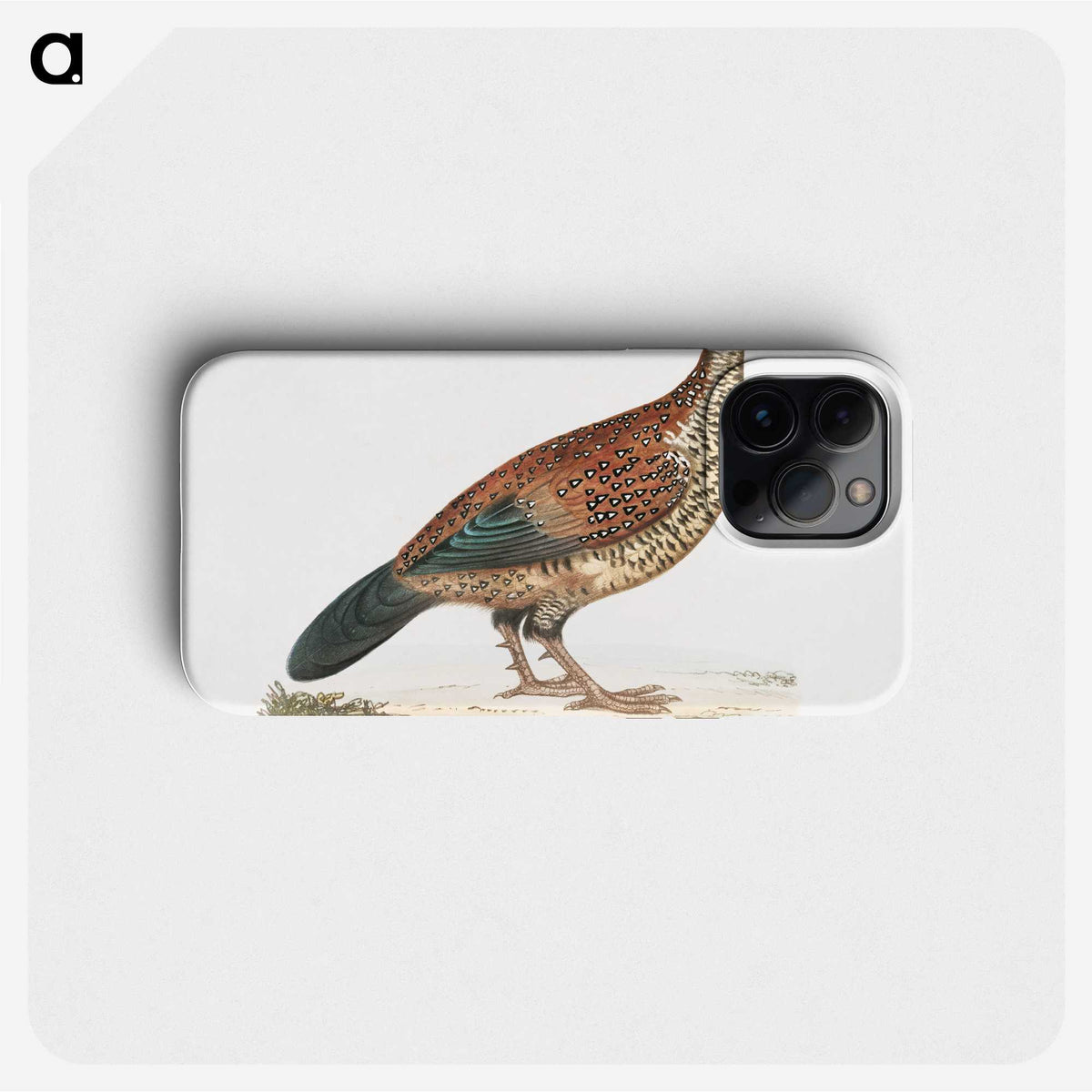 2-22_Indian-Zoology_phone