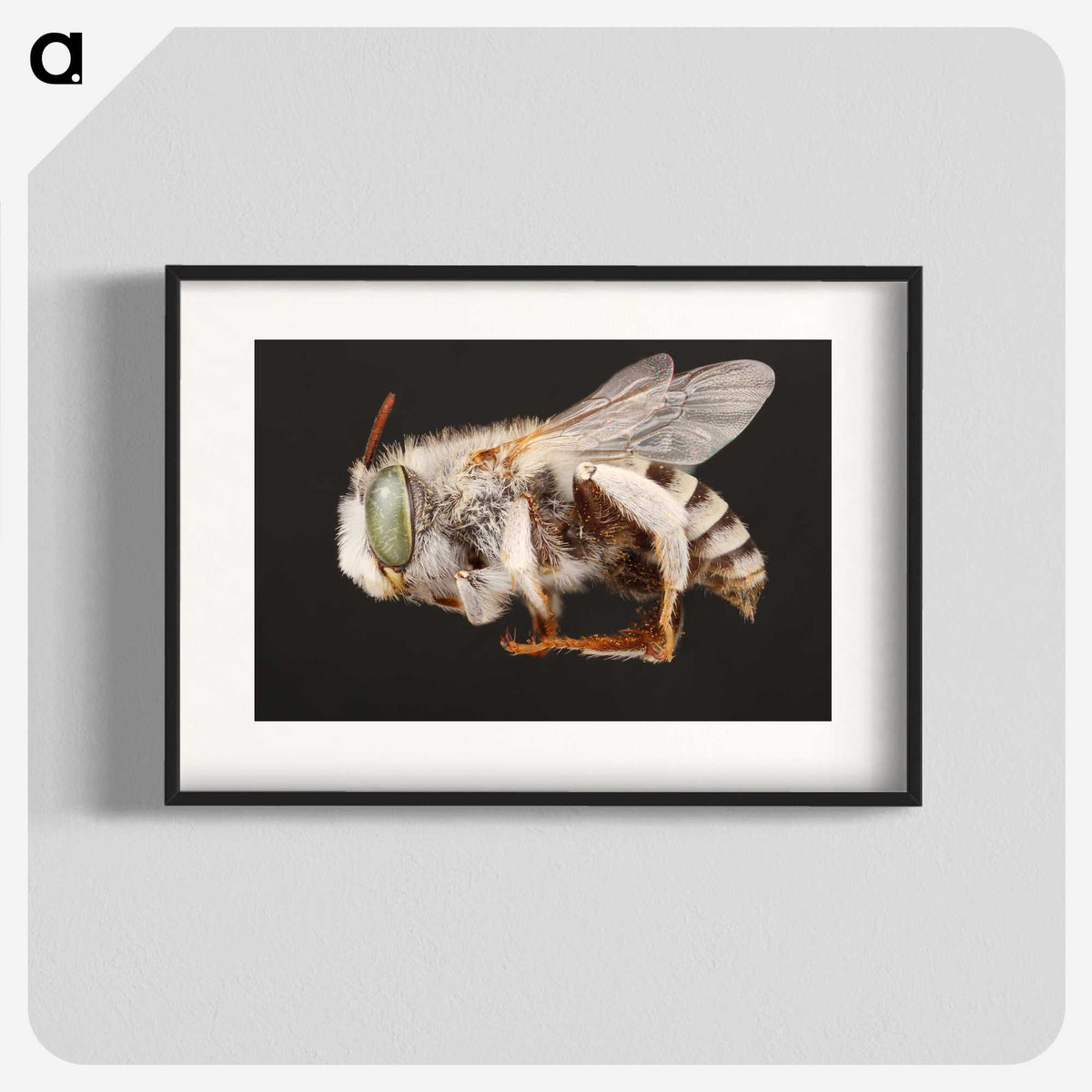 2-22_Insects-Unlocked-Project_blk