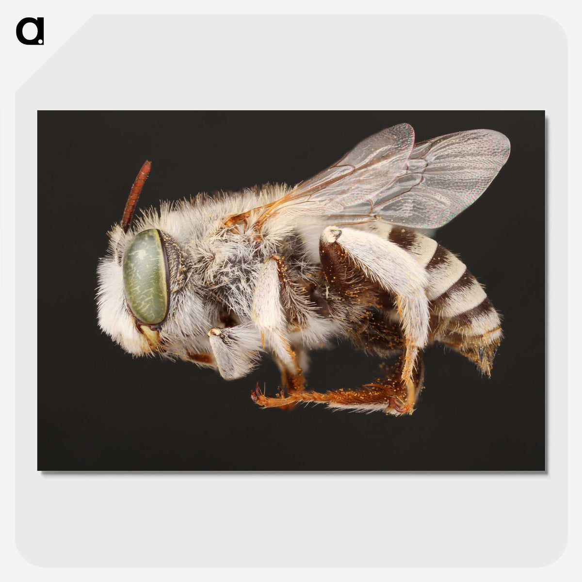 2-22_Insects-Unlocked-Project_picture-crop